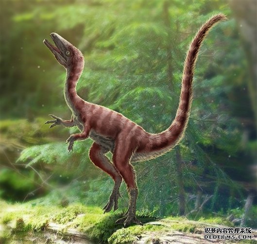 古生物学家发现体型如鸡的小恐龙